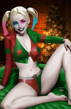 Load image into Gallery viewer, Harley Quinn Cosplay 6 Book Christmas Set by Jacob Bear &amp; Matthew