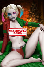 Load image into Gallery viewer, Harley Quinn Cosplay 6 Book Christmas Set by Jacob Bear &amp; Matthew