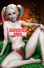 Load image into Gallery viewer, Harley Quinn Cosplay 6 Book Christmas Set by Jacob Bear &amp; Matthew