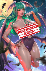 Morrigan Aensland Darkstalkers Cosplay 4 Book Set by Bearwitch BooKoo Bear babes Bear Claw Studios BooKooComix Excusive Set Limited to 100